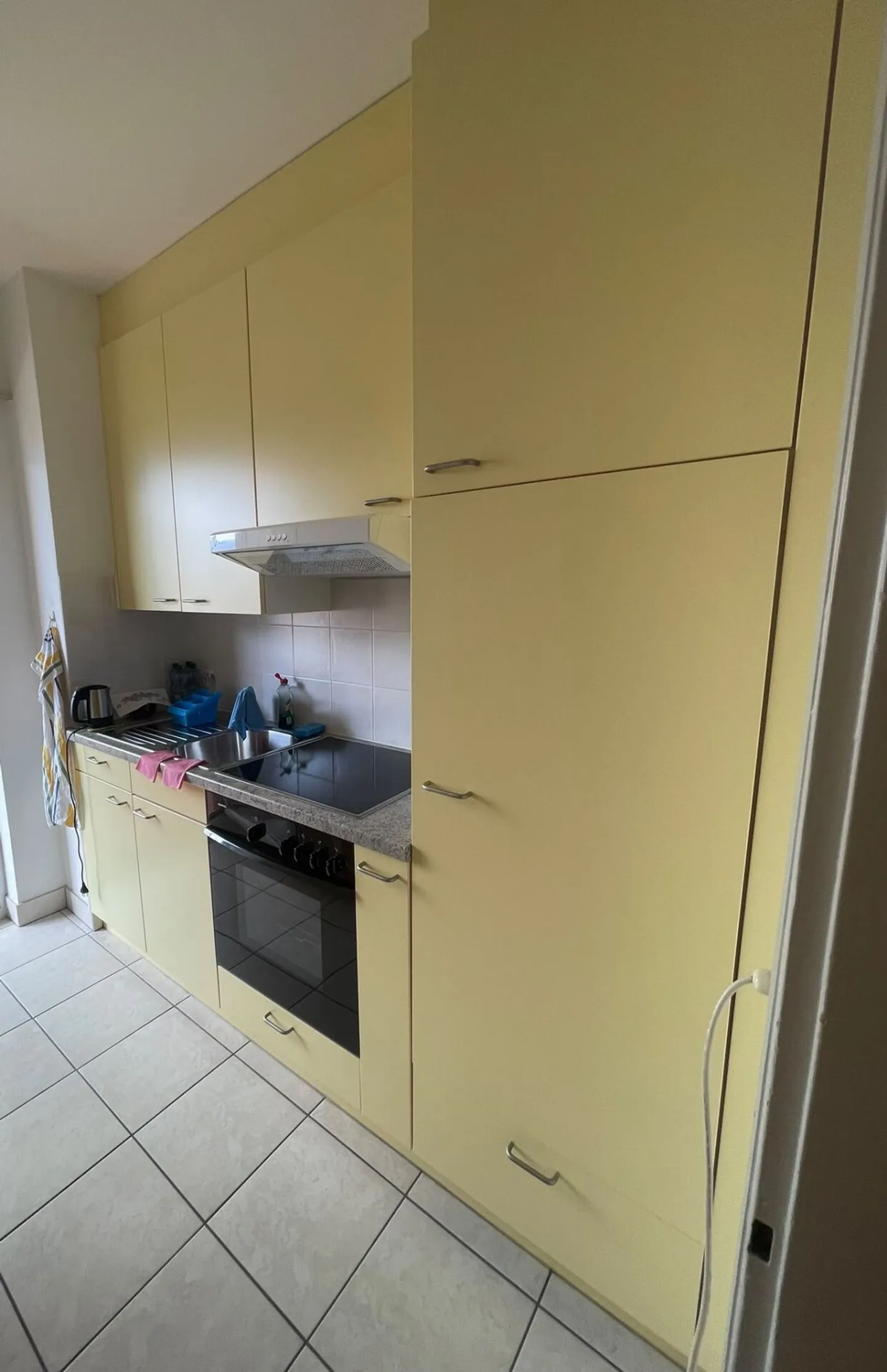 Appartamento Incantevole a Viganello - Foto 4 di 4