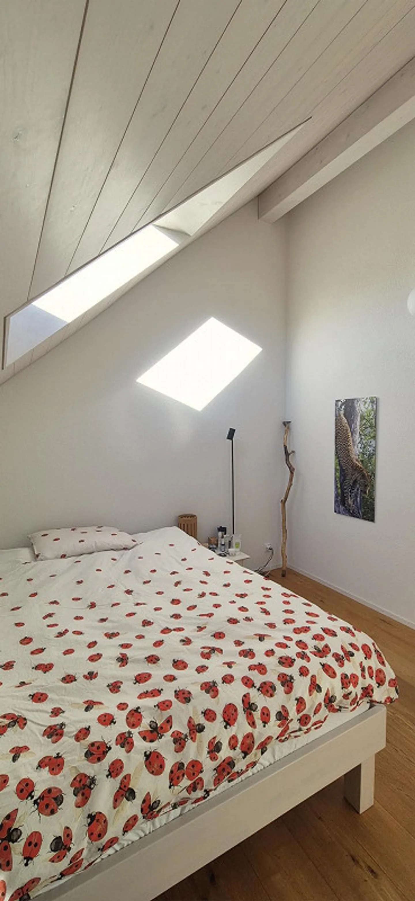 Light-flooded spacious gallery apartment - Photo 15 of 22