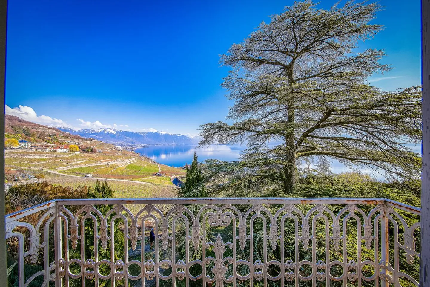 Villa padronale del XIX secolo a confine con le vigne di Lavaux - Foto 6 di 8