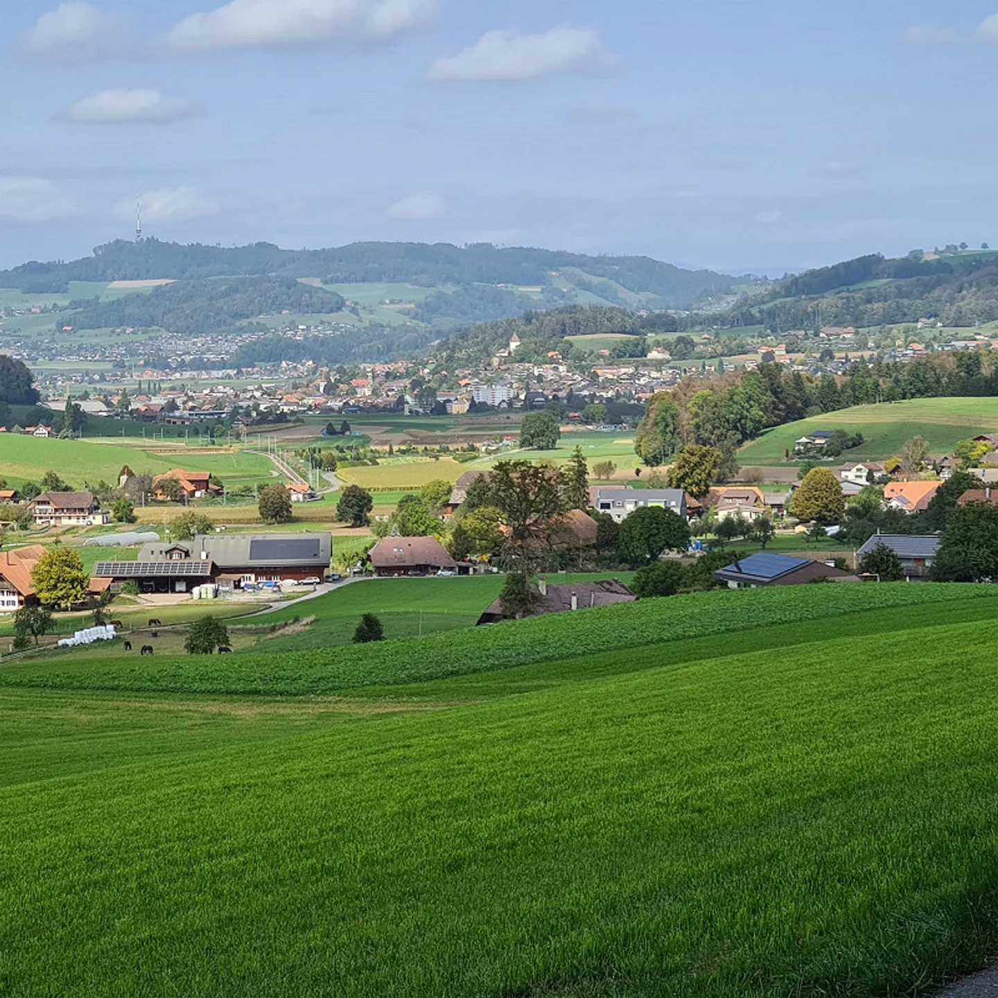 Light-flooded spacious gallery apartment - Photo 22 of 22
