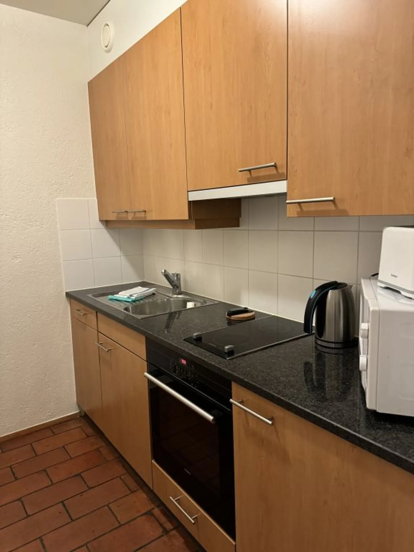 Bell'appartamento arredato con 2 stanze e balcone a Carouge (Ginevra) - Foto 2 di 5