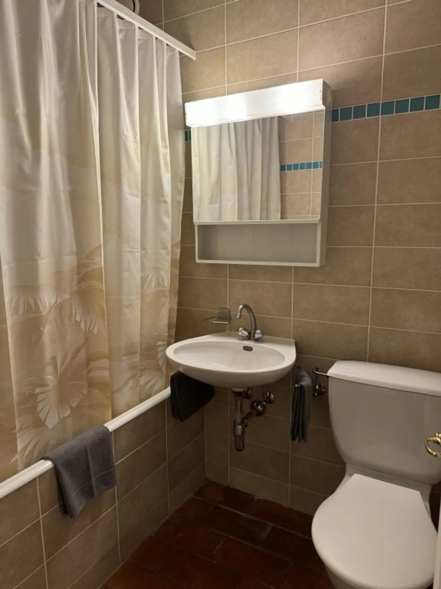 Bell'appartamento arredato con 2 stanze e balcone a Carouge (Ginevra) - Foto 5 di 5