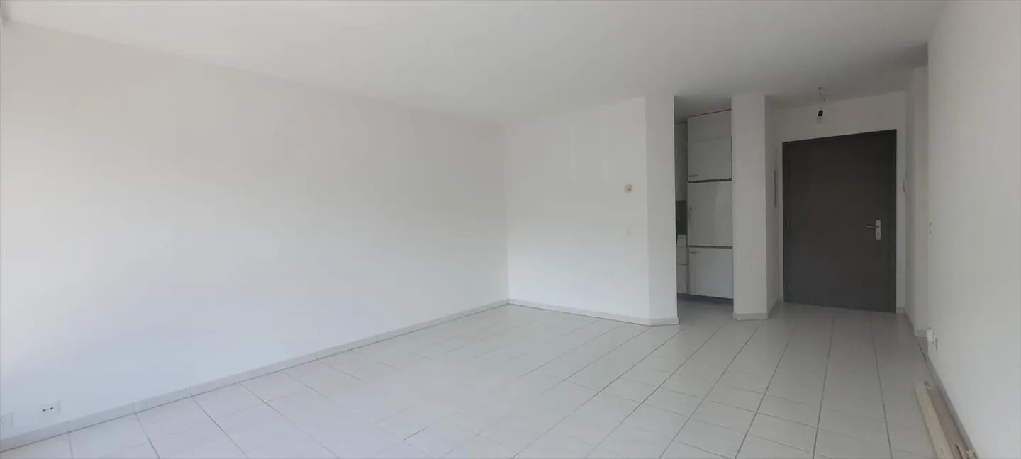 Appartamento 2.5 locali - Foto 2 di 8