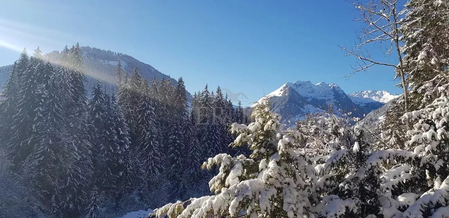 Chalet Luxueux à Gstaad - Photo 3 sur 4