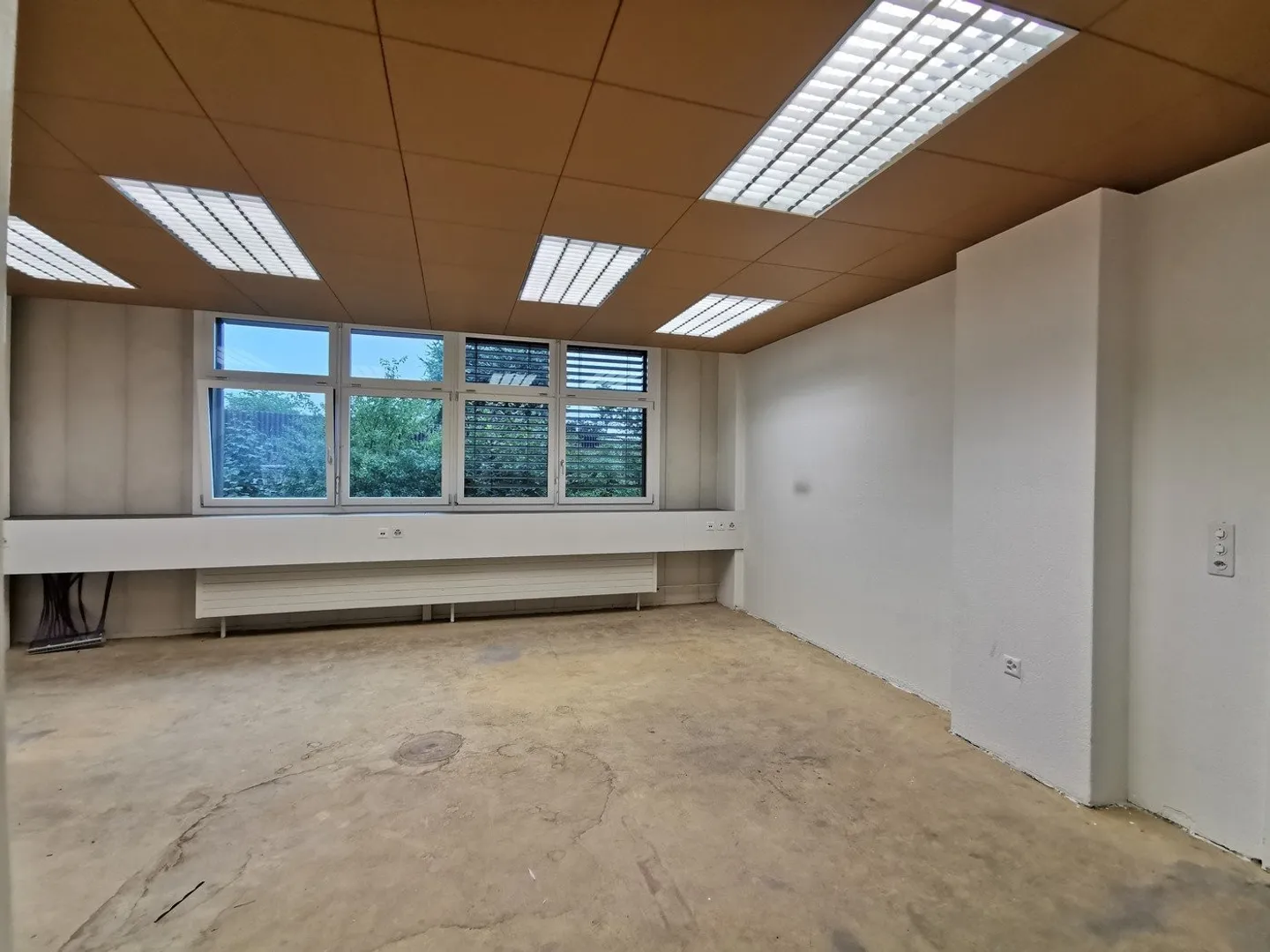 Büro-/Lagerfläche mit viel Licht und direktem Zugang zum Warenlift - Foto 5 von 10