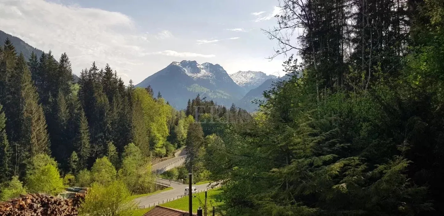 Chalet Luxueux à Gstaad - Photo 2 sur 4