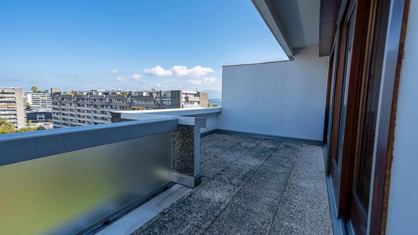 Exceptional Duplex Apartment in Attic (5 rooms) - Photo 8 of 12