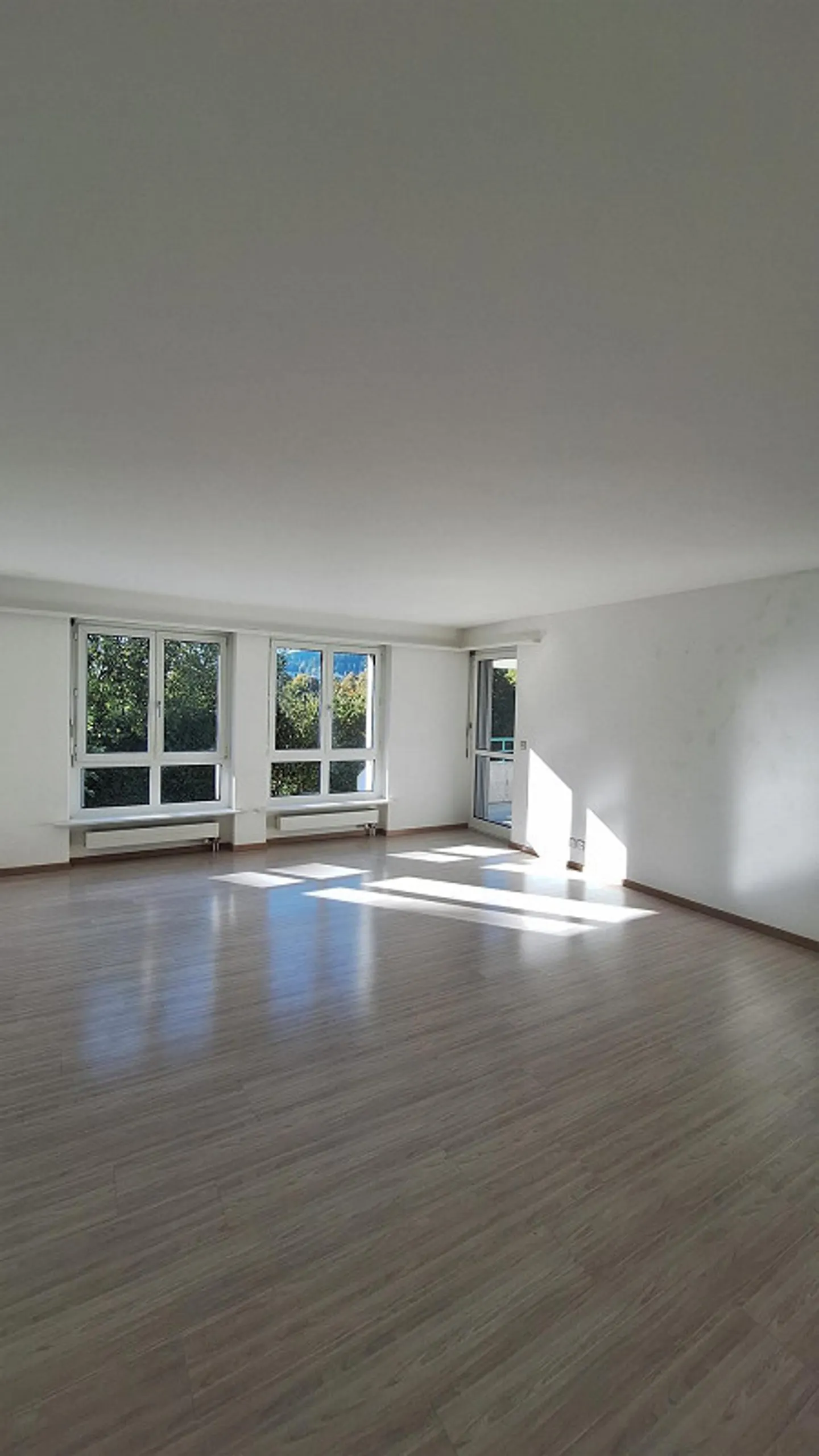 Appartamento 4.5 locali, 1° piano con grande balcone - Foto 3 di 17