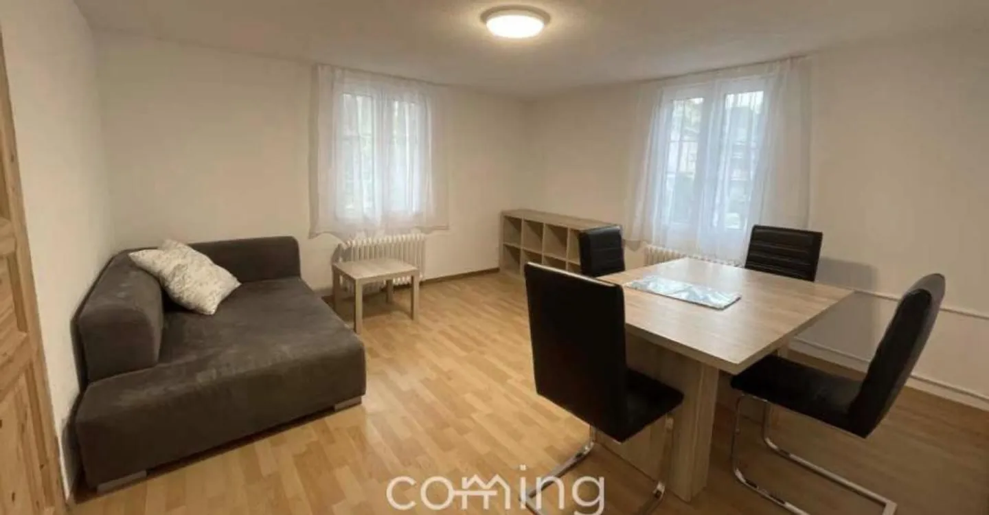 Appartement meublé 2 pièces à Wyssachen, calme et ensoleillé - Photo 3 sur 8