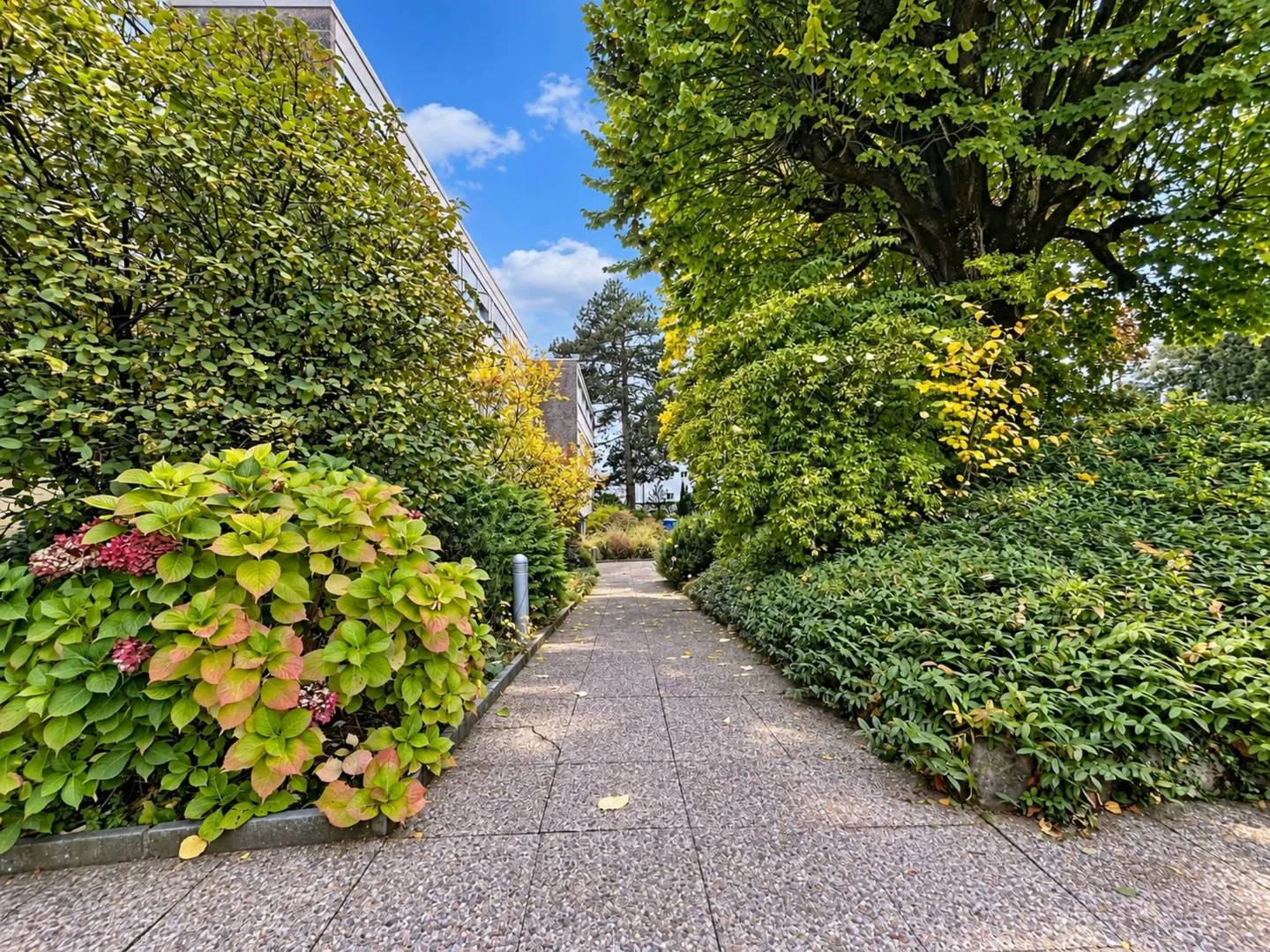 Charmante 5,5-Zimmer-Wohnung - Foto 4 von 10