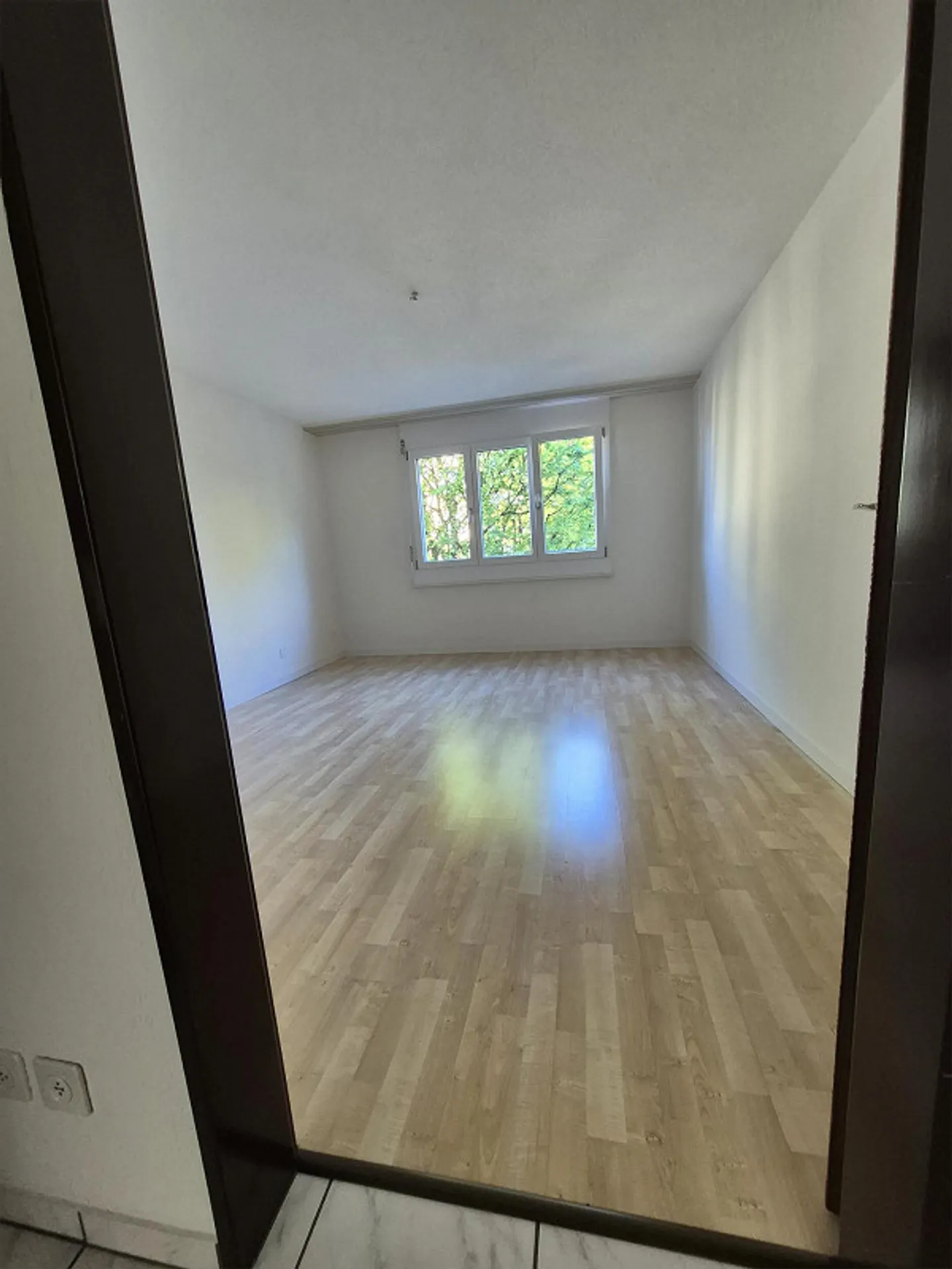 Appartamento 3 1/2 locali in posizione tranquilla - Foto 6 di 9