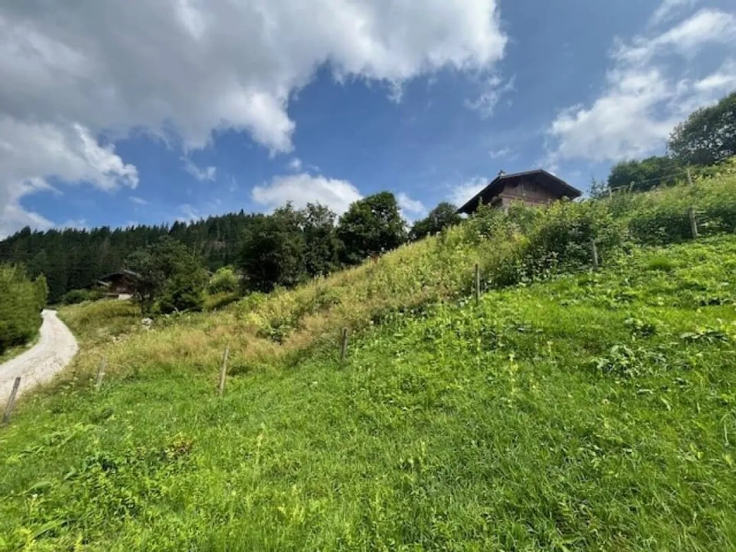 Grande terreno edificabile (906m2) con possibilità di acquisire il terreno adiacente - Foto 4 di 12
