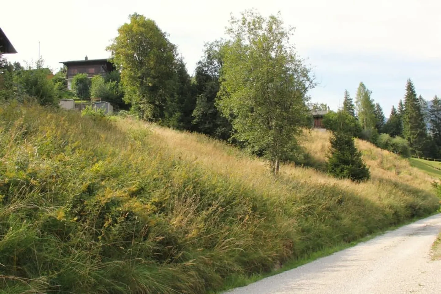 Grande terreno edificabile (906m2) con possibilità di acquisire il terreno adiacente - Foto 3 di 12