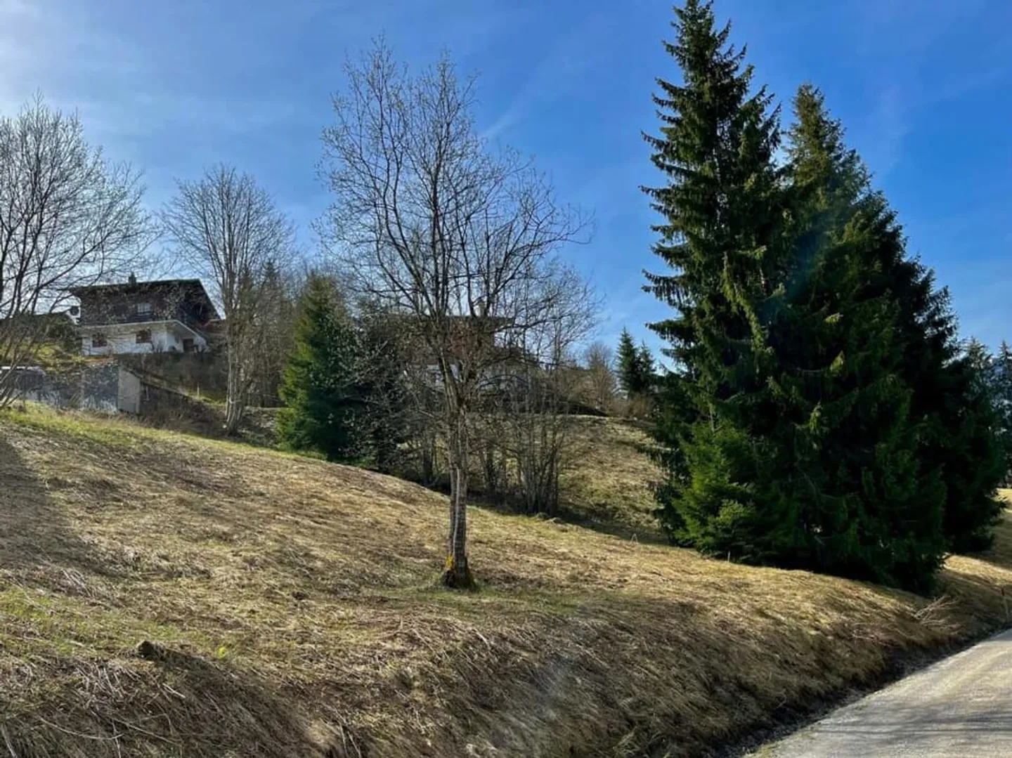 Grande terreno edificabile (906m2) con possibilità di acquisire il terreno adiacente - Foto 6 di 12