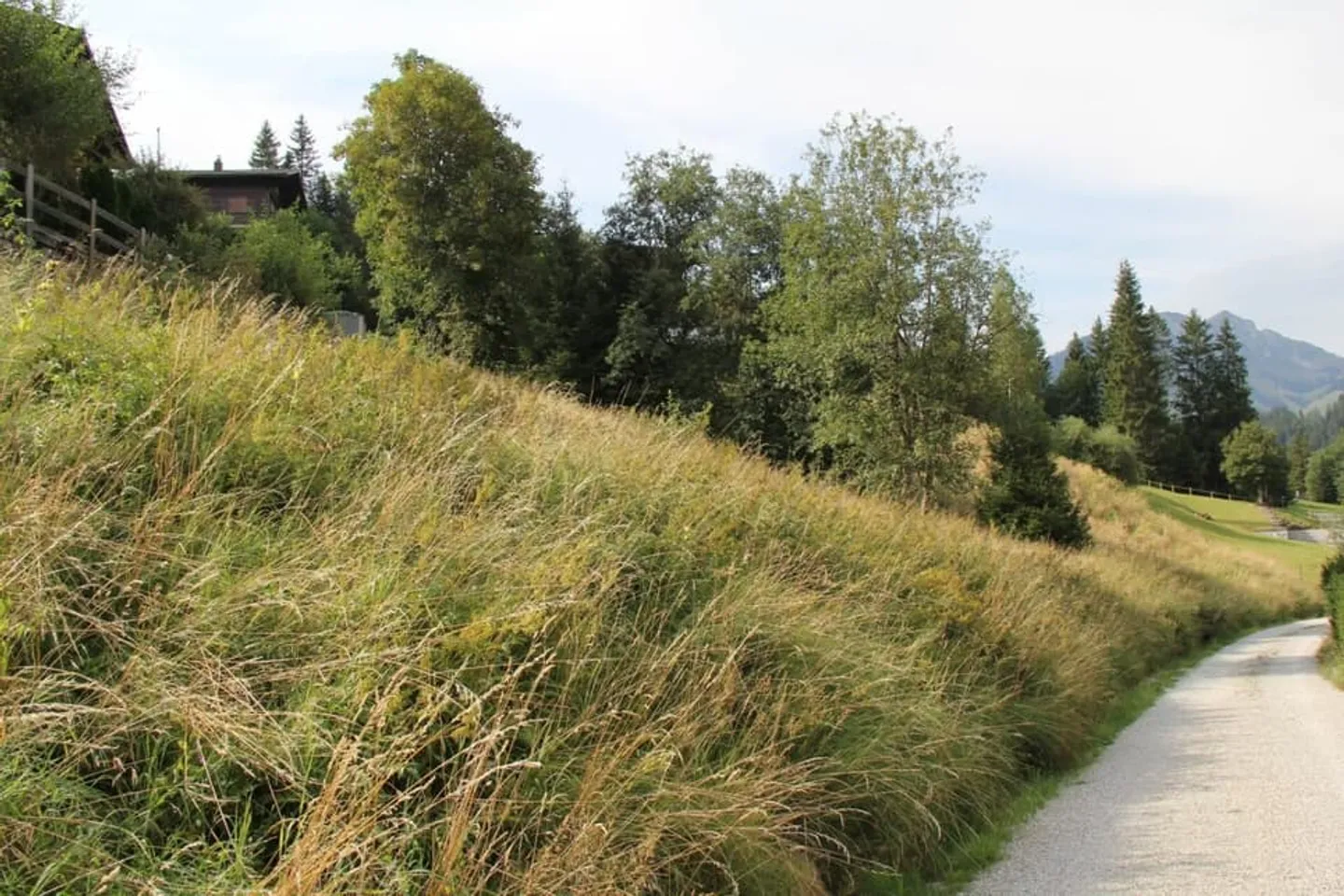 Grande terreno edificabile (906m2) con possibilità di acquisire il terreno adiacente - Foto 10 di 12