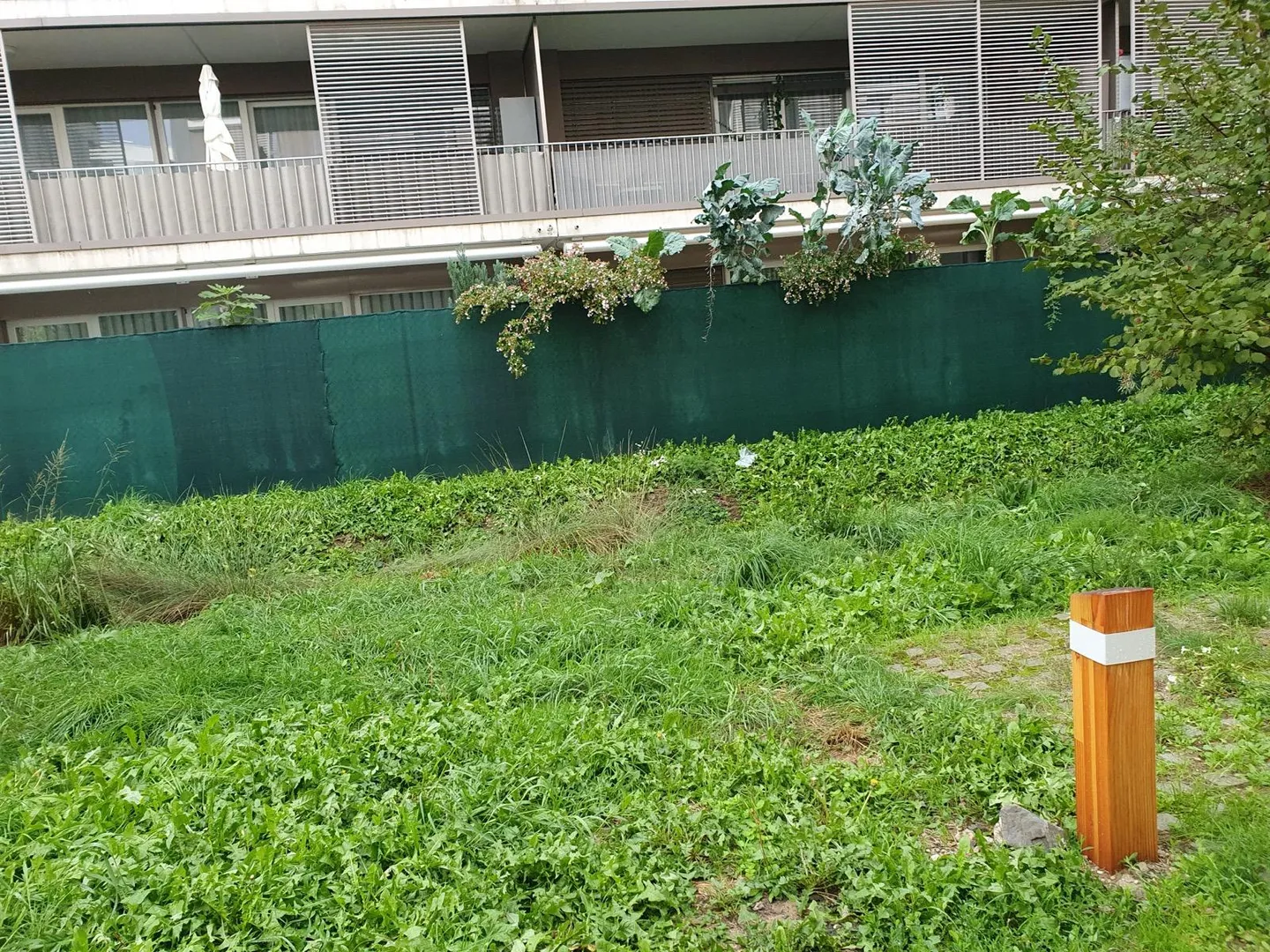 Appartement à louer - Photo 8 sur 9