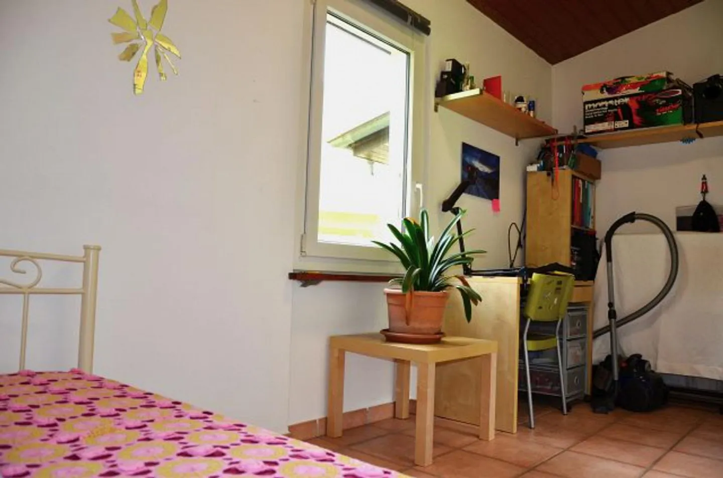 Casa unifamiliare 5 1/2 locali con grande terreno - Foto 19 di 51