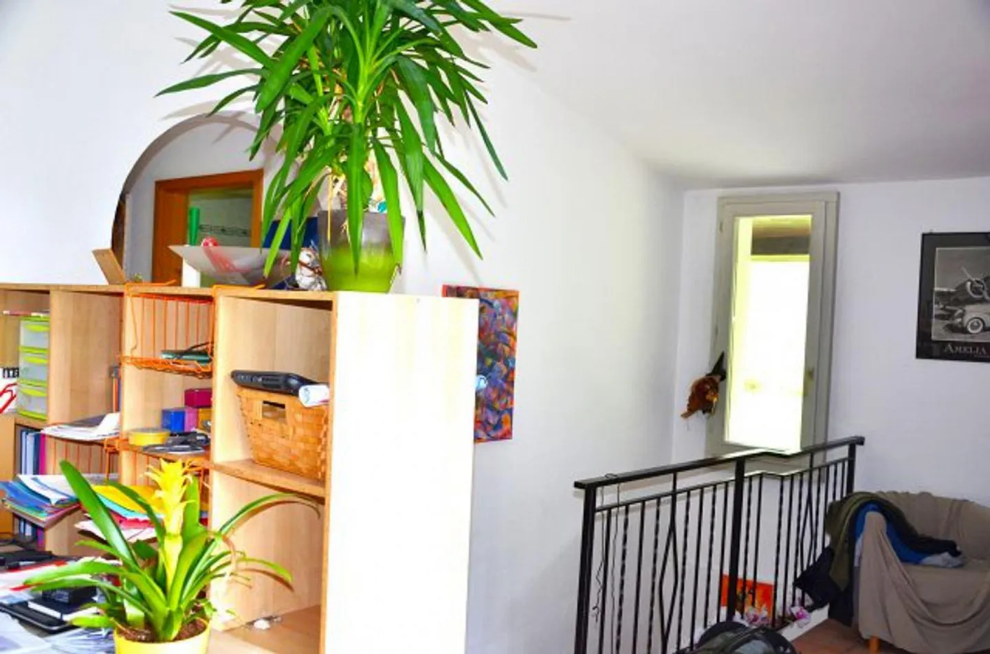 Casa unifamiliare 5 1/2 locali con grande terreno - Foto 21 di 51
