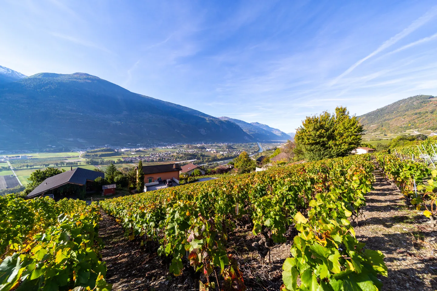 TERRAIN AVEC PERMIS DE CONSTRUIRE VALIDE - 10 APPARTEMENTS - CALME ET VUE - EXCLUSIF - Photo 2 sur 8