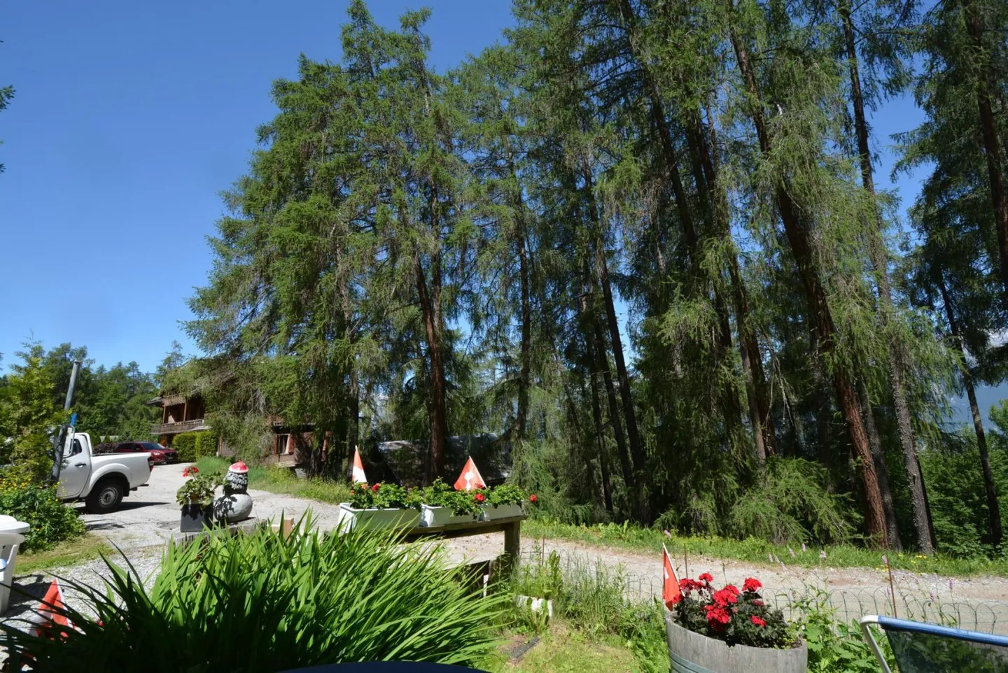 Café-Restaurant avec Appartements - Photo 12 sur 12