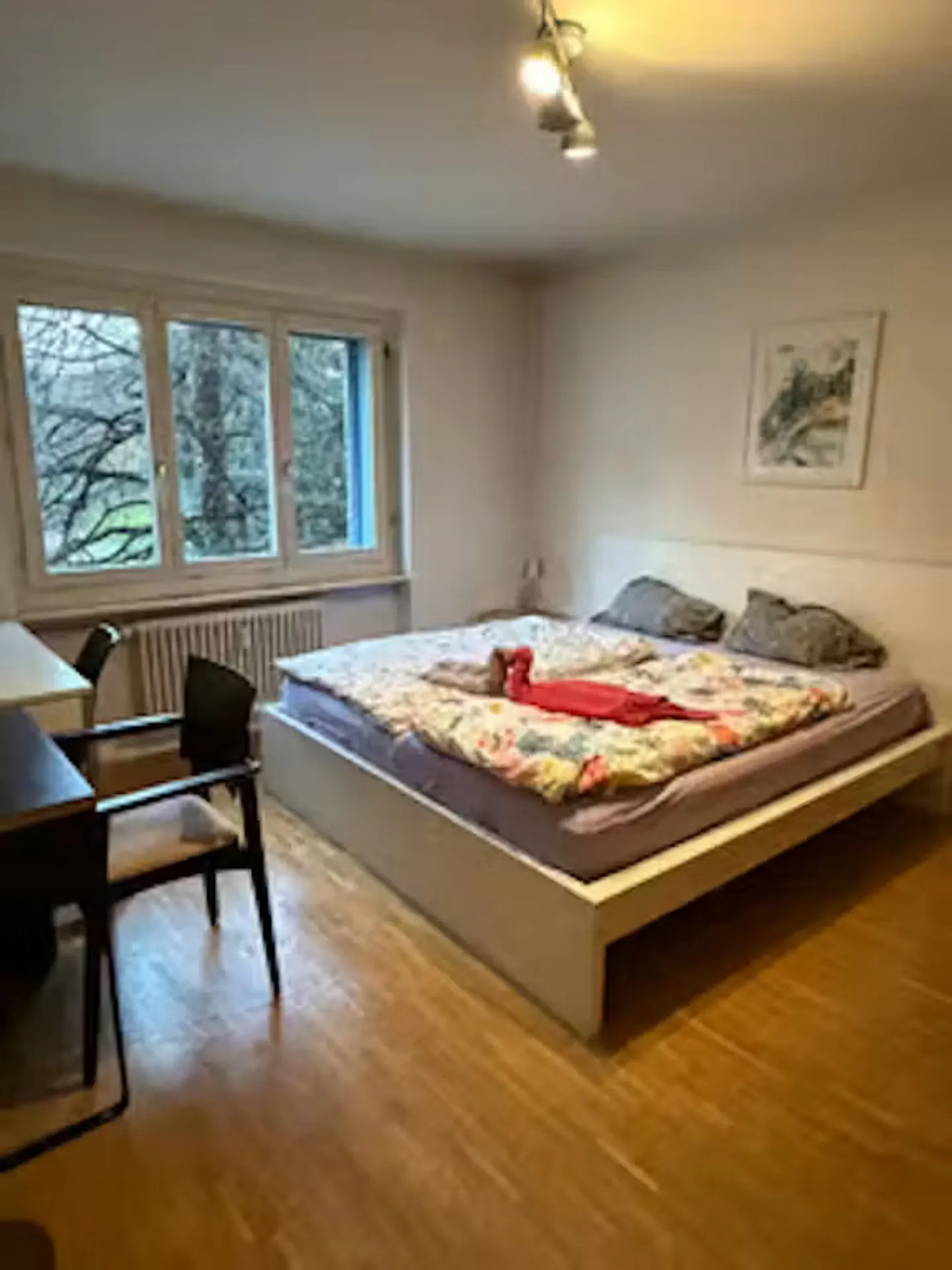 Charming Chalet in Zurich - Photo 5 of 10