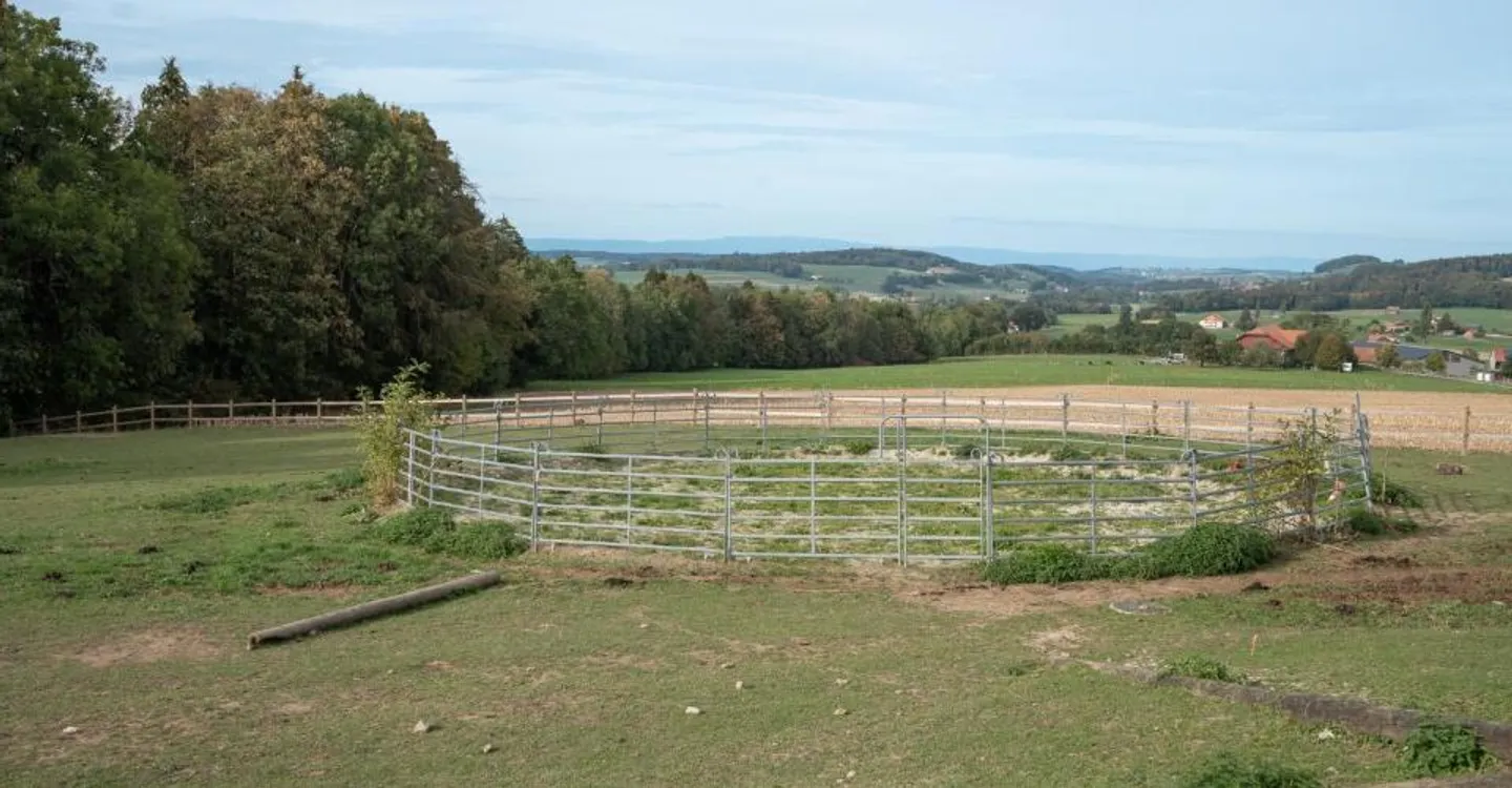 Ferme Équestre avec 6 Logements - Photo 7 sur 12