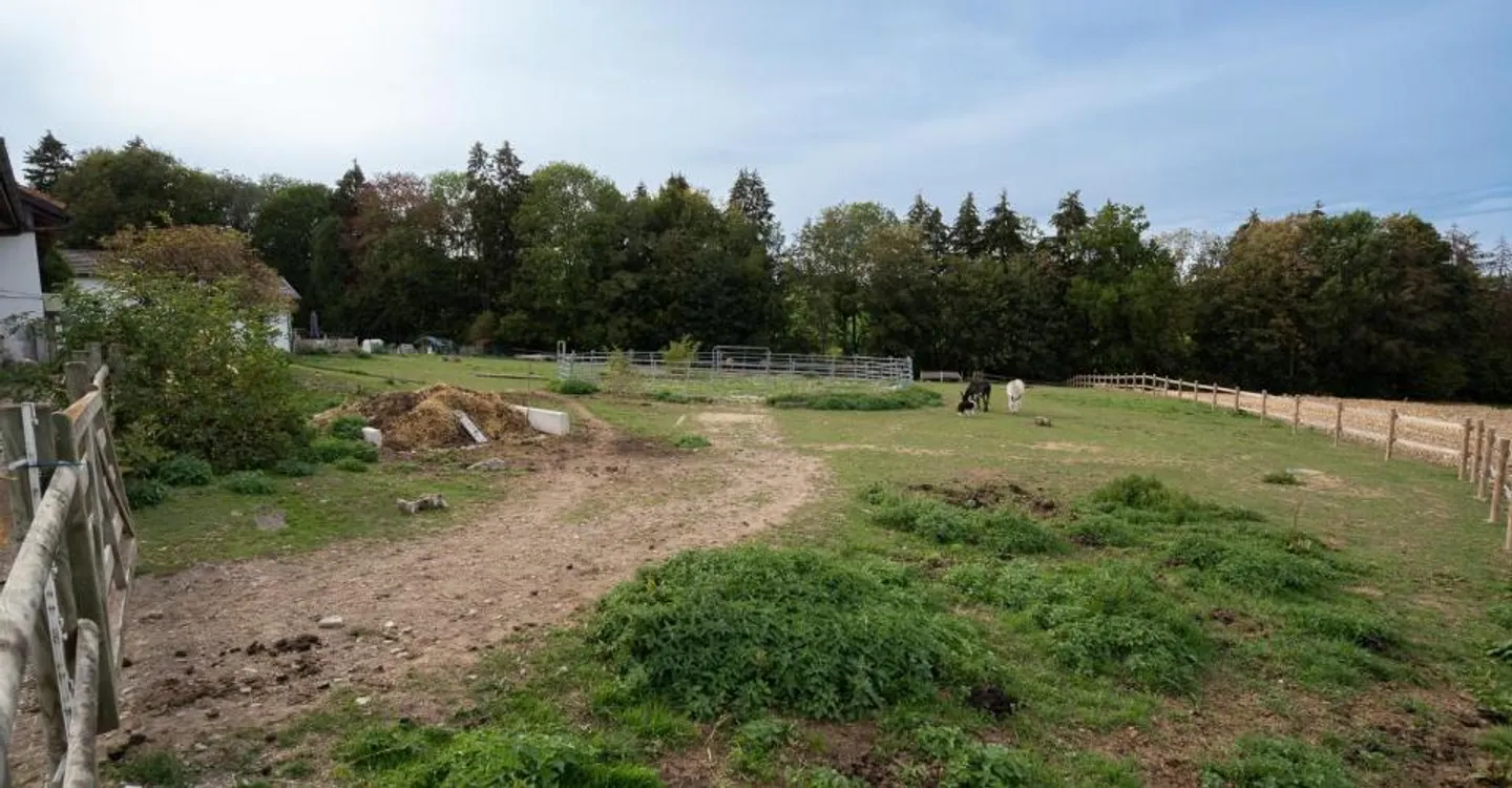 Ferme Équestre avec 6 Logements - Photo 4 sur 12