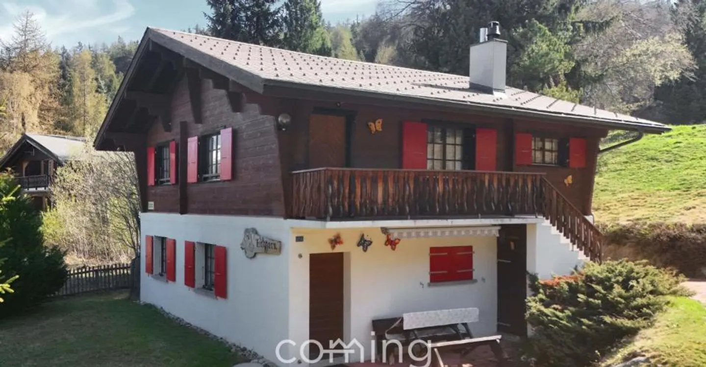 Chalet with Stunning Views - Photo 3 of 11