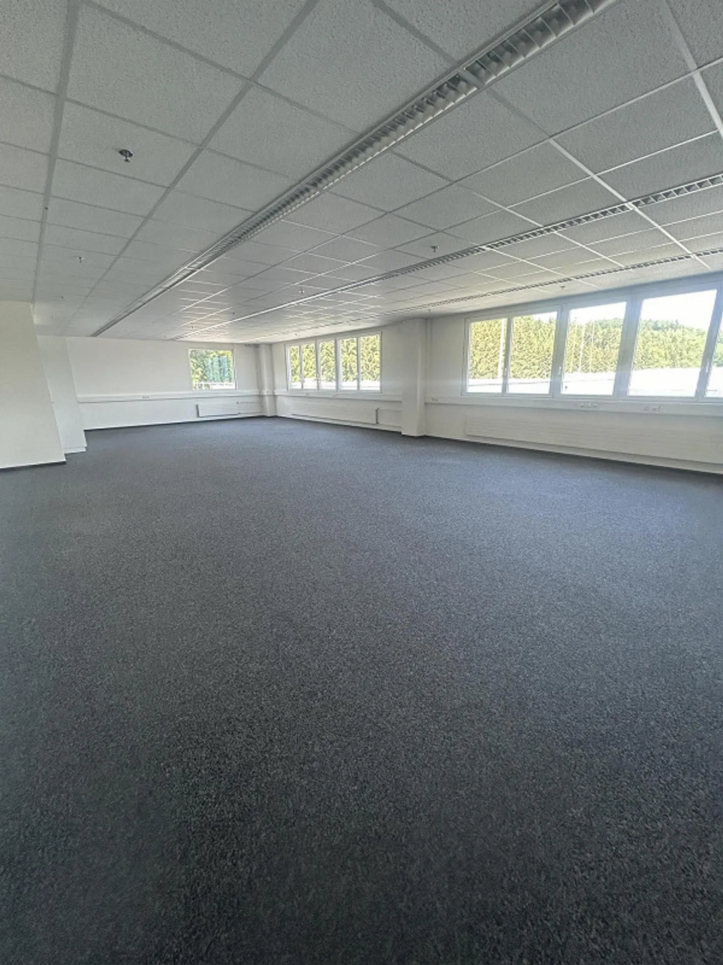 Propriété commerciale à Bremgarten - Photo 4 sur 4