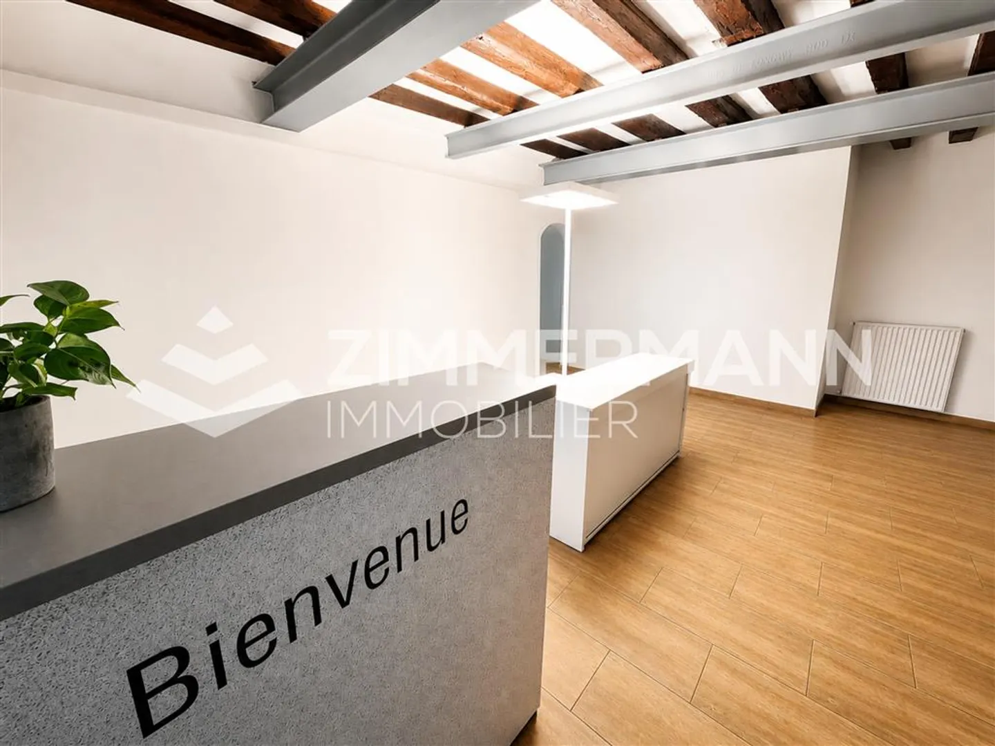 Espace Commercial Spacieux - Photo 5 sur 11