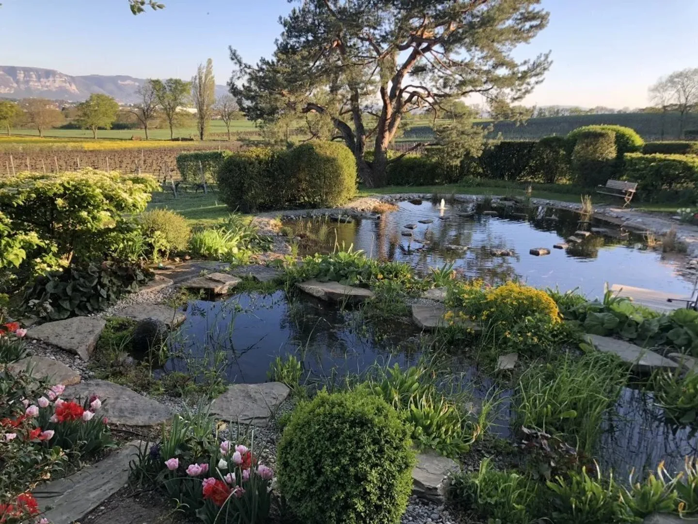 Haven of Peace with a View of Mont-Blanc - Photo 13 of 13