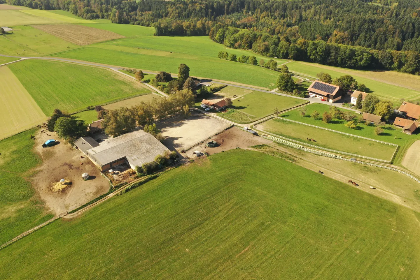 Centro equestre vicino a Losanna - Foto 1 di 7