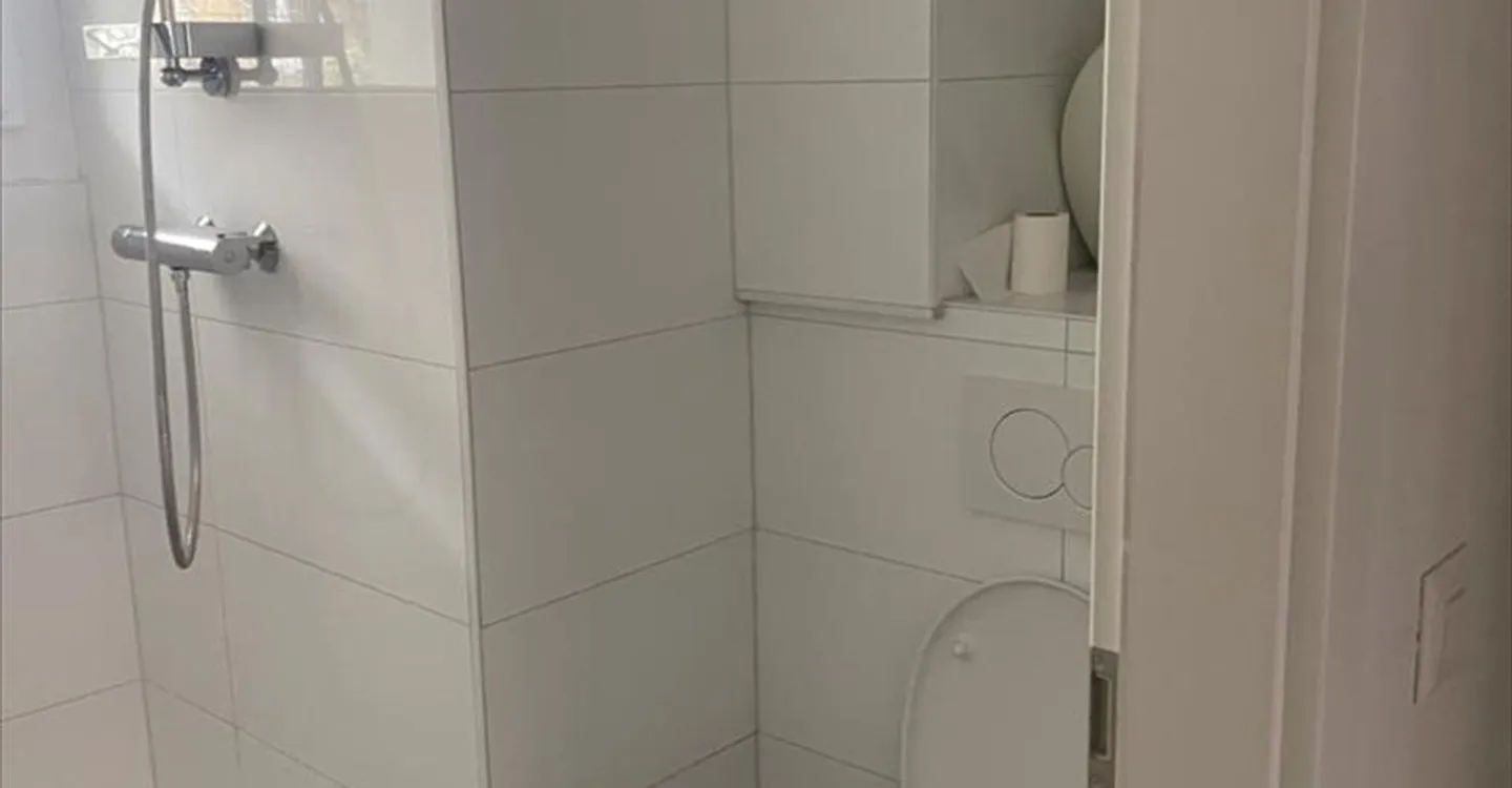 Mixed-use building for rent - Photo 3 of 13