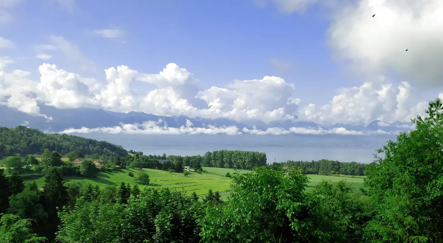 Architect-designed property with great privacy, stunning view of the lake, Lausanne - Photo 13 of 14