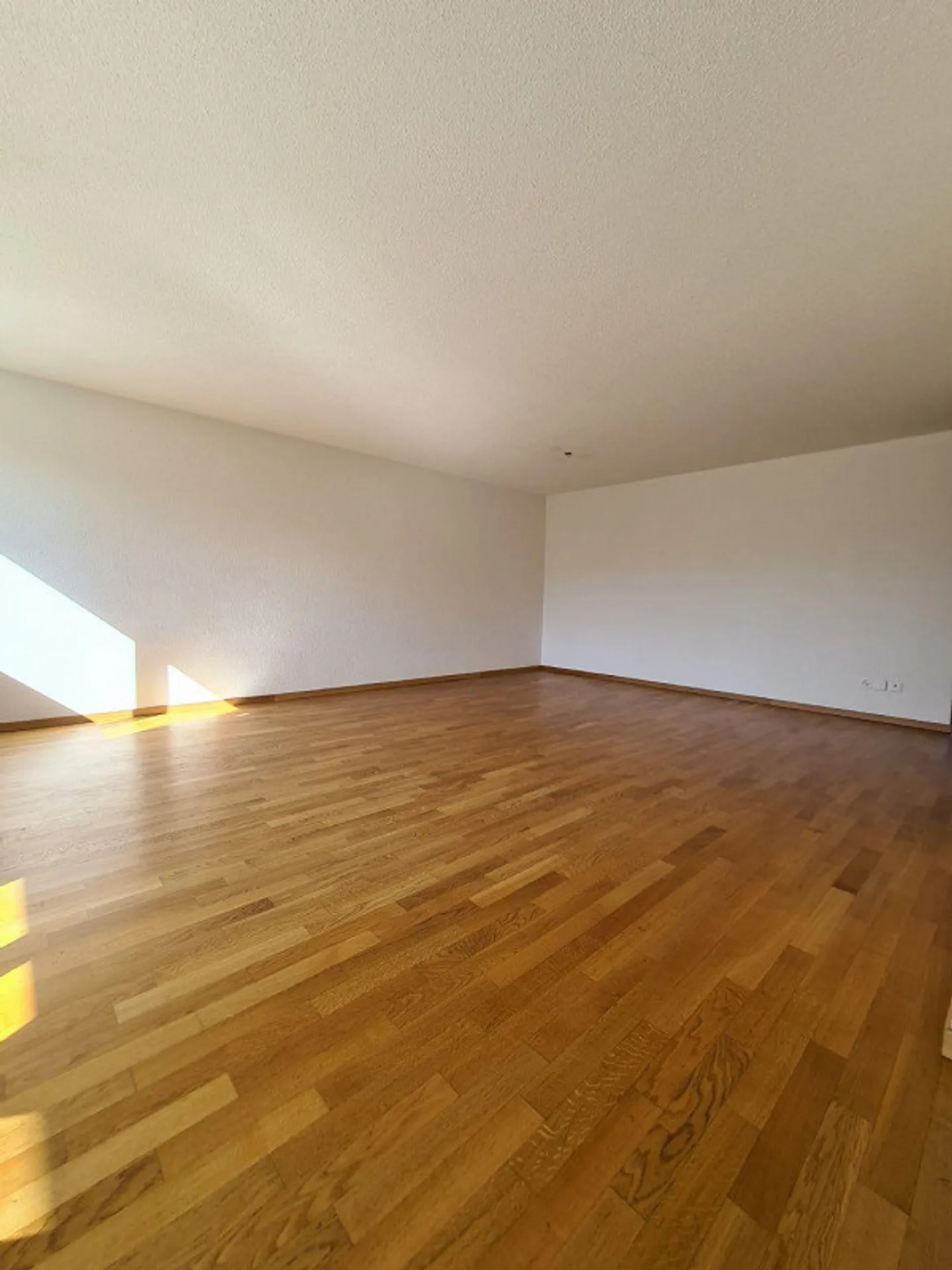 Beautiful 4.5 Room Apartment - Photo 3 of 6