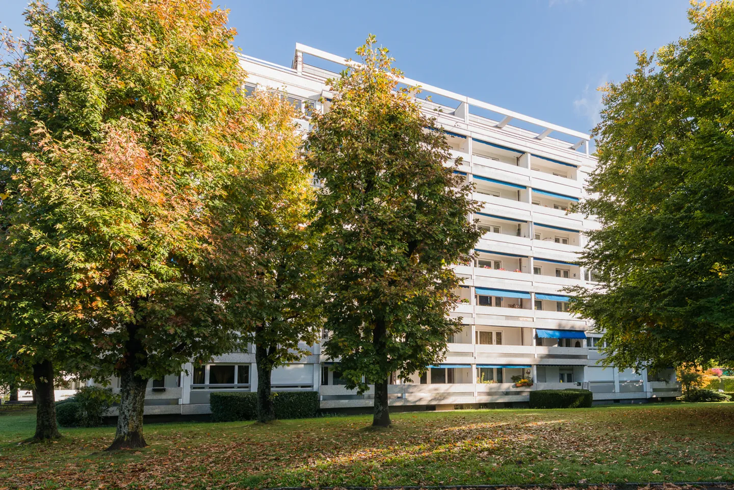 Nascosto in un angolo verde - Foto 2 di 3