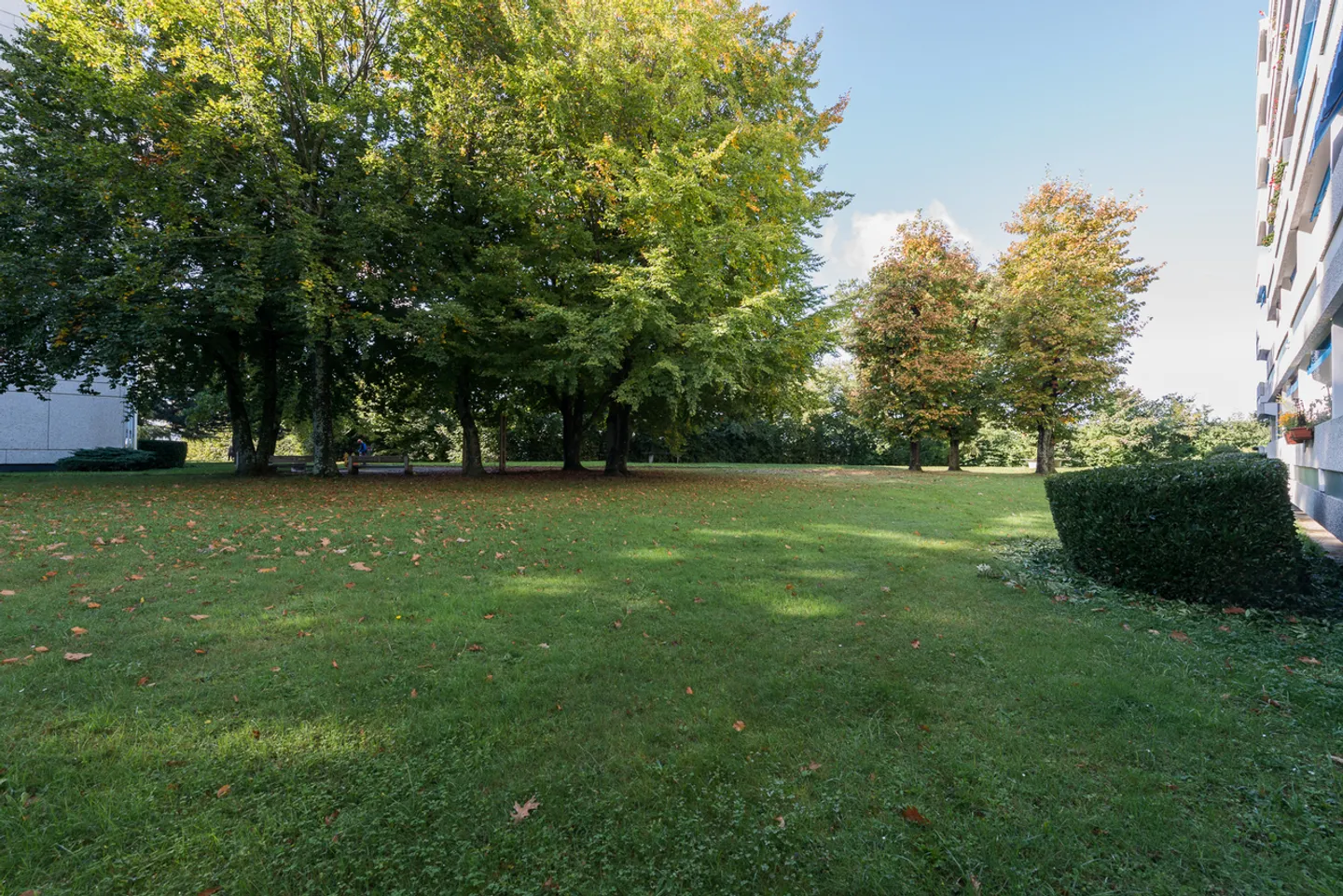 Nascosto in un angolo verde - Foto 3 di 3