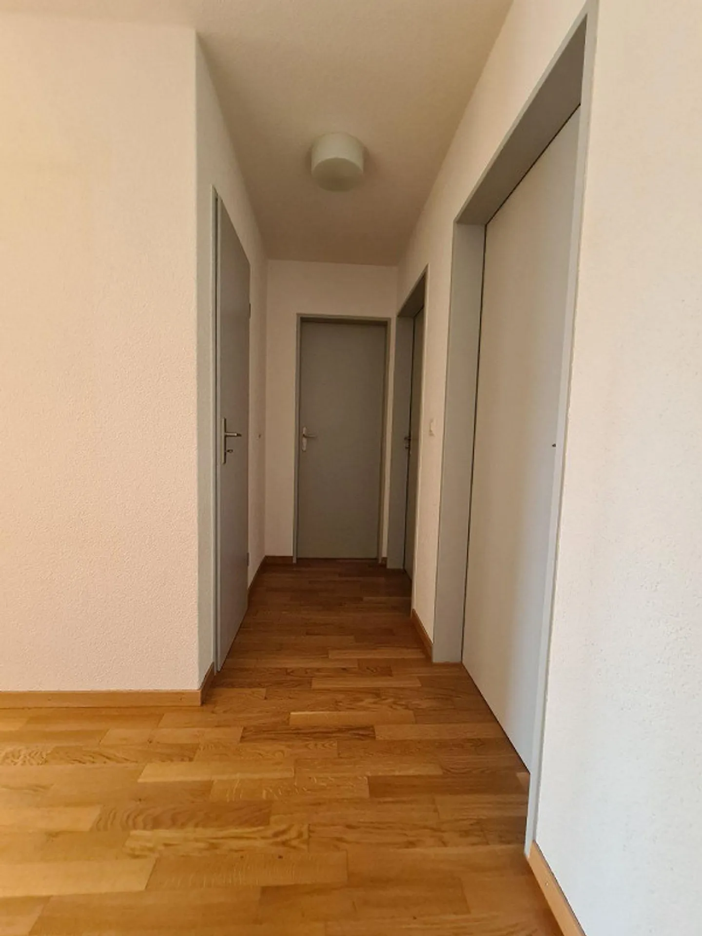 Beautiful 4.5 Room Apartment - Photo 4 of 6