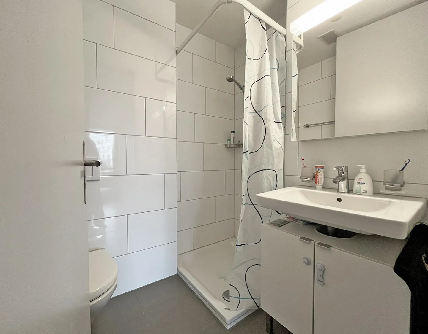 Appartamento 4.5 stanze con torre di lavaggio privata - Foto 8 di 10