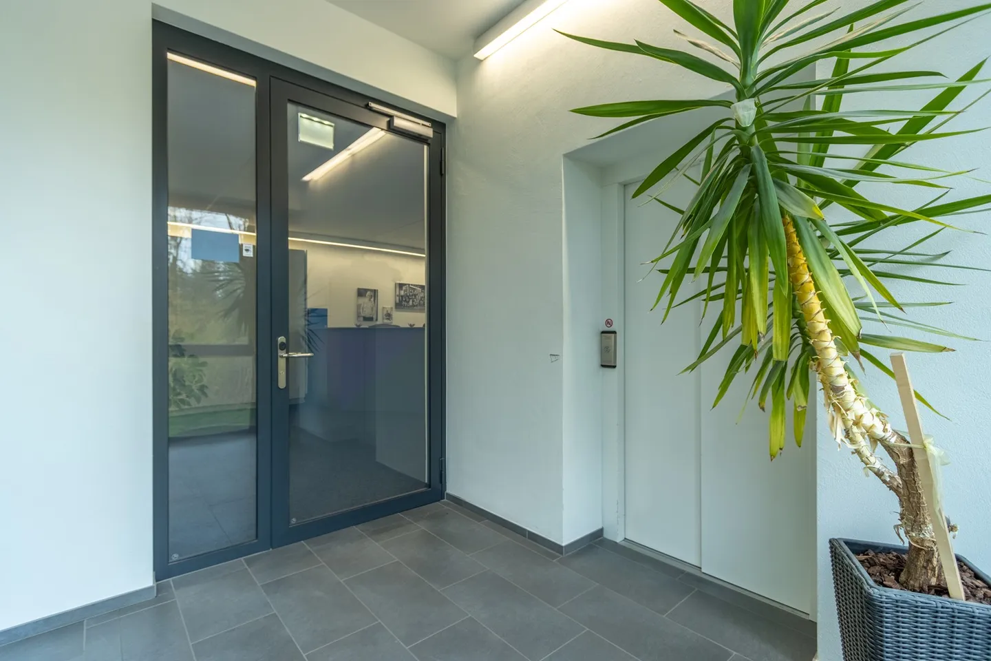 Modern Commercial Property in Sennwald - Photo 4 of 11