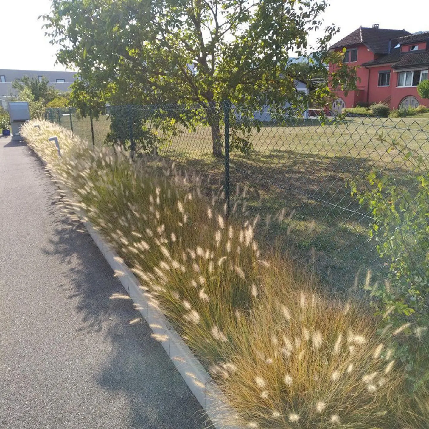 Gebäude mit 2 Wohnungen und 1 privatem Büro - Foto 6 von 21