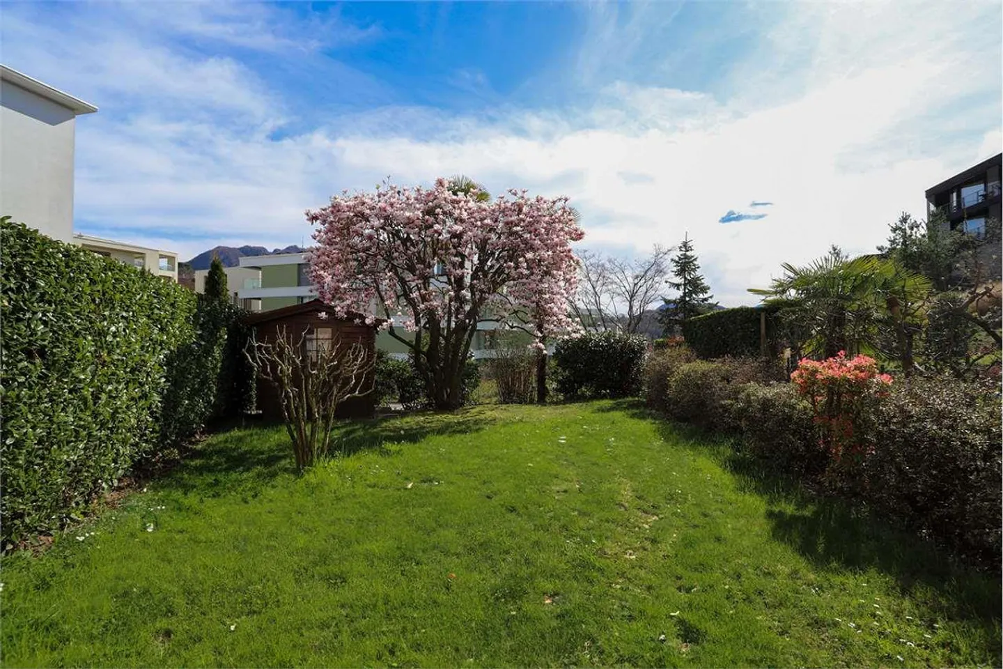Casa unifamiliare - SORENGO - Foto 12 di 13