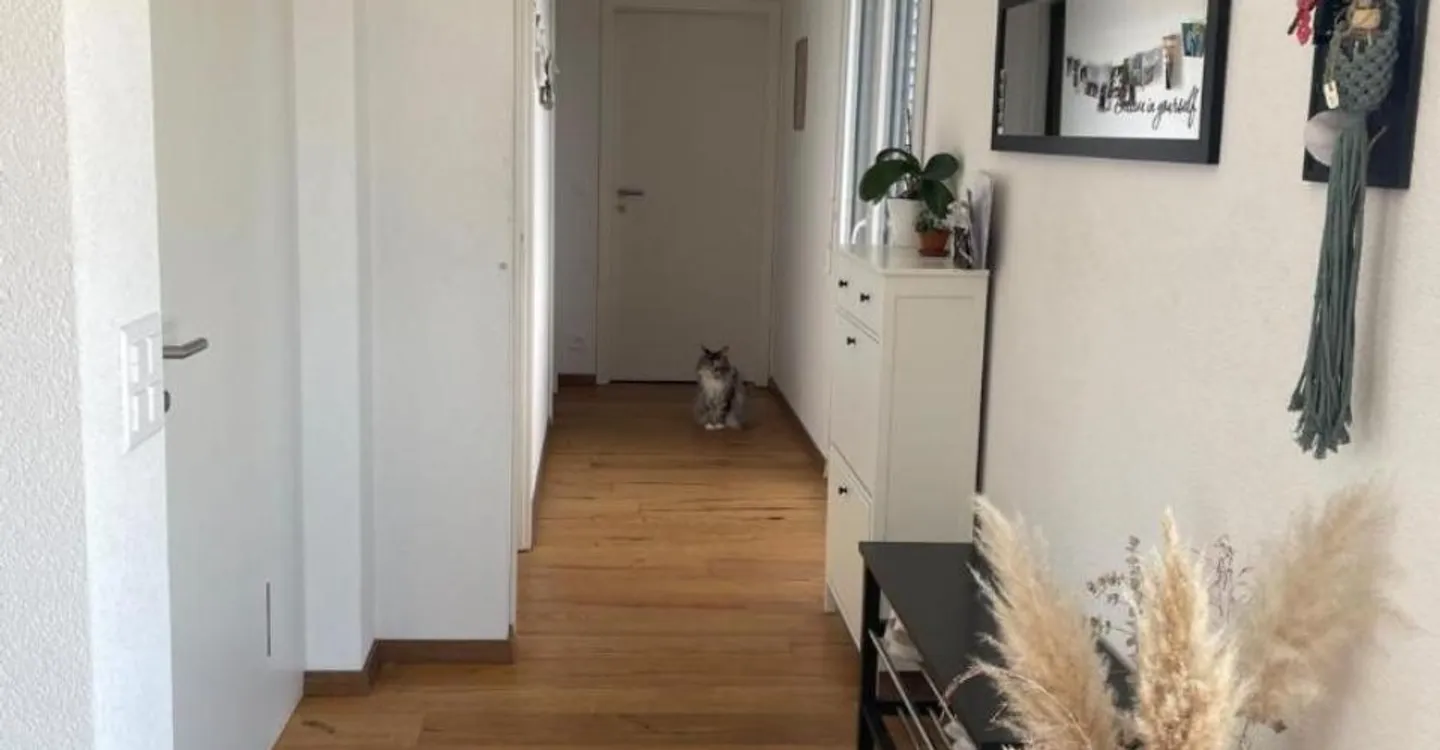 Magnificent spacious and bright apartment for rent in Avenches - Photo 1 of 10