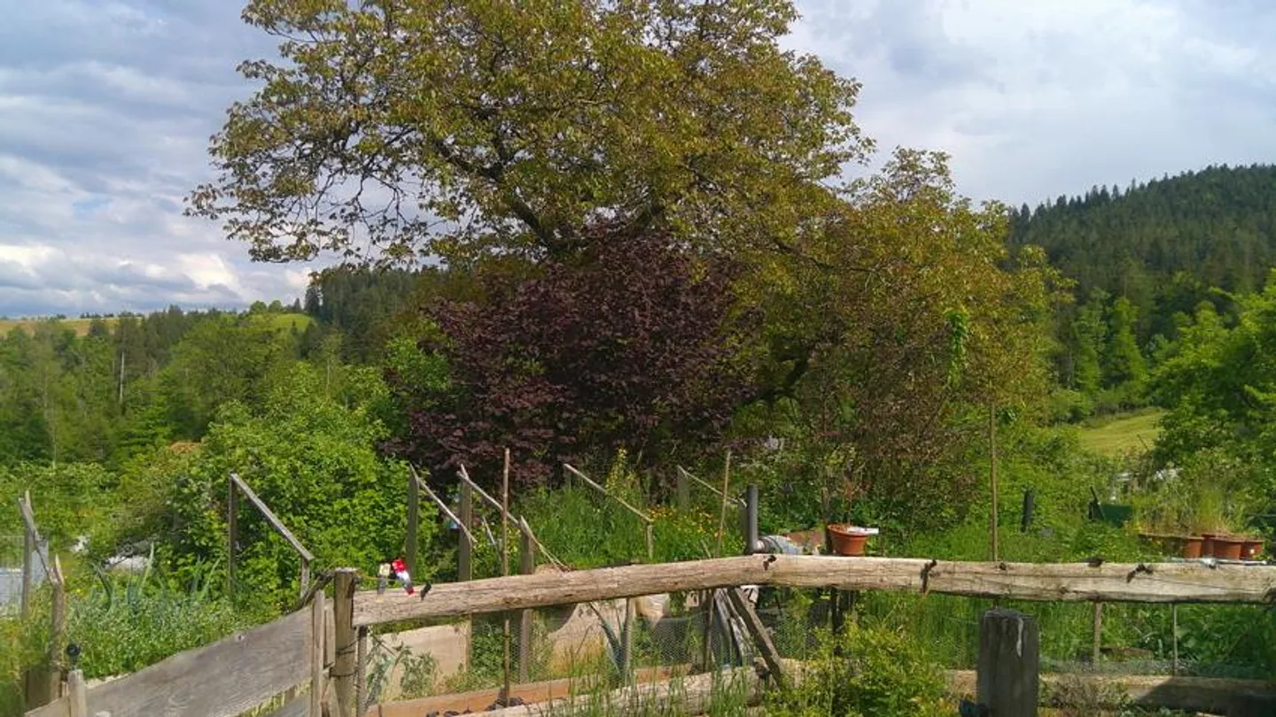 Bauernhaus mit Spycher und mit viel Umschwung - Foto 5 von 10