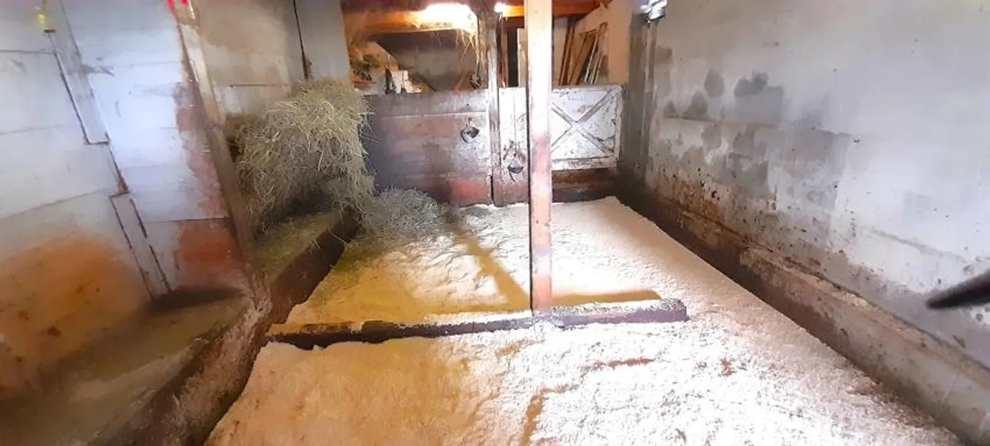 Bauernhaus mit Spycher und mit viel Umschwung - Foto 3 von 10