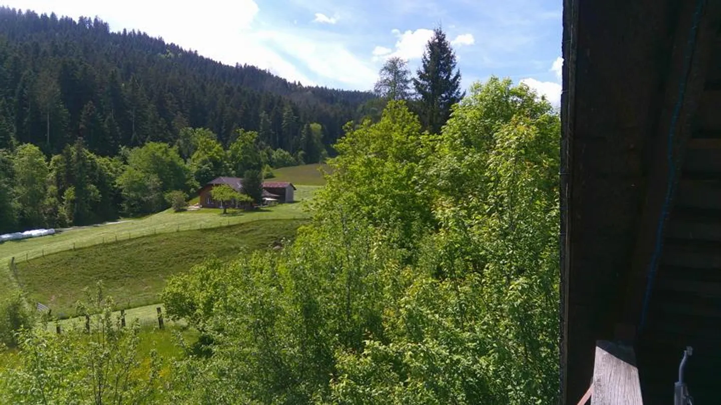 Bauernhaus mit Spycher und mit viel Umschwung - Foto 10 von 10