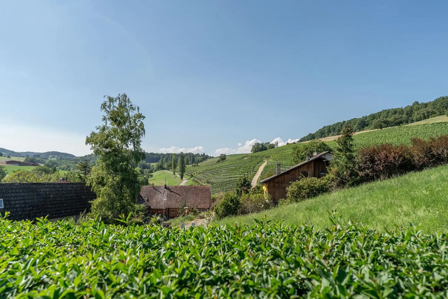 À Altdorf, le monde est encore en ordre - Photo 12 sur 13