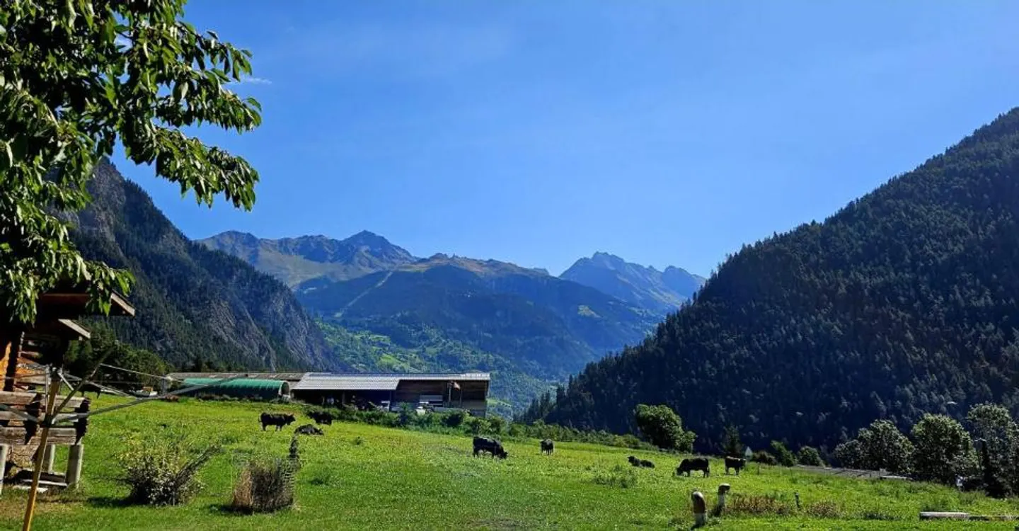 Villa a schiera di 4,5 locali nel Comune di Val de Bagnes - Foto 7 di 8