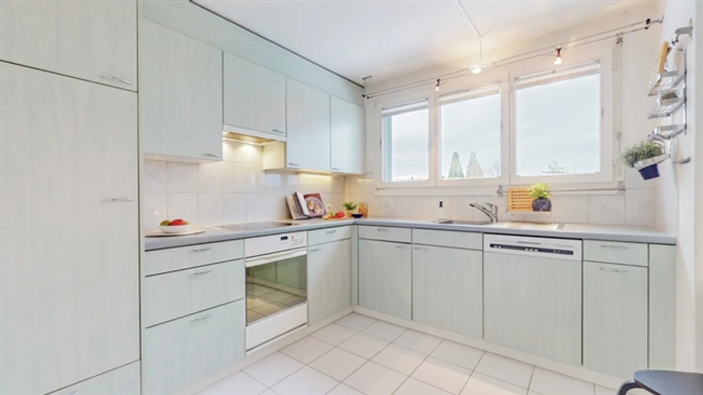 AMPIO SPAZIO ABITATIVO CON STUFA SVEDESE - PENTHOUSE A BAAR - Foto 5 di 8