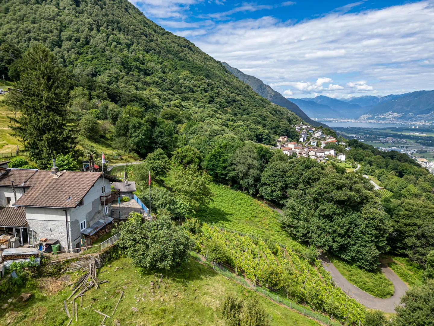 Casa ticinese con 20'000 m di terreno, piscina e rustico - Foto 3 di 20
